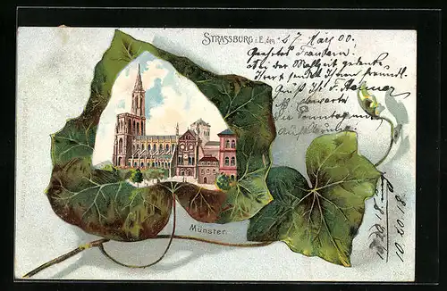 Lithographie Strassburg, Münster auf Efeublatt