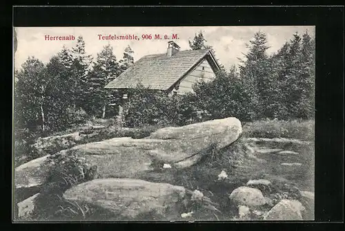 AK Herrenalb, Blick auf die Teufelsmühle, 906 M. ü. M.