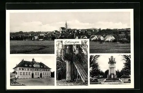 AK Ertingen, Kriegerdenkmal, Wundertanne, Schulhaus