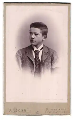 Fotografie A. Dose, Hadersleben, Junger Mann im Anzug mit Krawatte