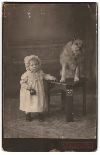Fotografie Gg. Hemmer, Gunzenhausen, Hensoldstr., Portrait niedliches Kind im Kleidchen mit Hund auf dem Tisch