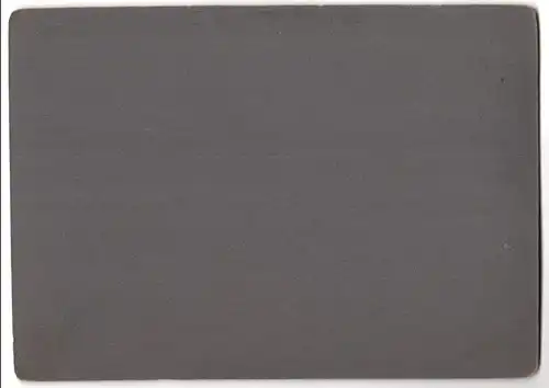 Fotografie unbekannter Fotograf, Ansicht Breslau, Pferdefuhrwerk & Arbeiter, Fantini, Langegasse 21, Eisen-Bleche-Rohre