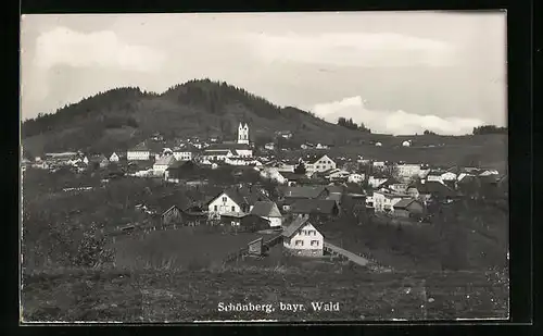 AK Schönberg /bayrischer Wald, Ortsansicht