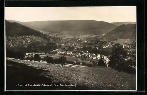 AK Amorbach im Odenwald, Ansicht vom Beuchenerberg aus