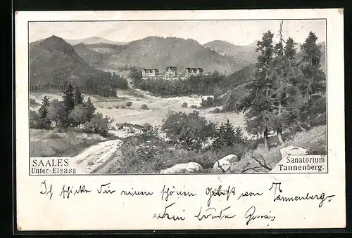 AK Saales, Sanatorium Tannenberg