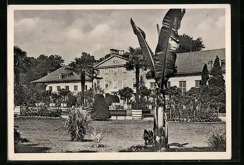 AK Strassburg, Partie im Stadtgarten