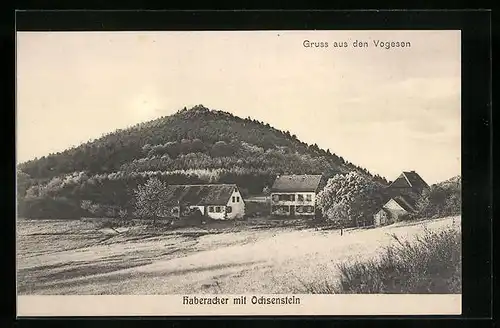 AK Reinhardsmünster /Vogesen, Haberacker mit Ochsenstein