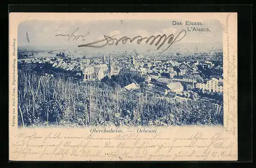 AK Oberehnheim /Elsass, Panorama