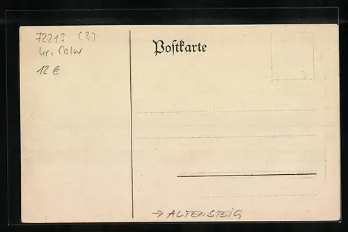 Künstler-AK Altensteig /Württemberg, Erinnerung an die Ferienwanderung der Karlsruher Humboldtschüler, Teilansicht