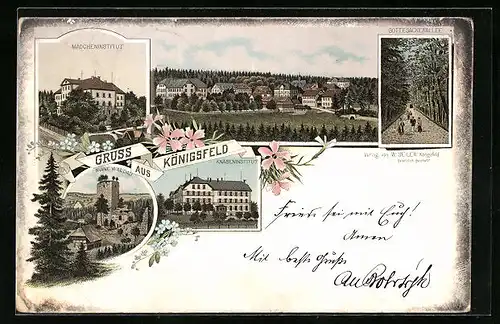Vorläufer-Lithographie Königsfeld, 1895, Mädchen- und Knabeninstitut, Gottesackerallee, Ruine Waldau