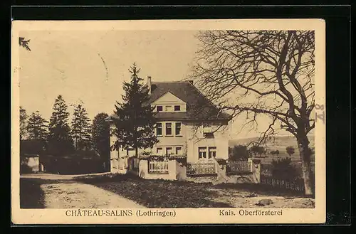 AK Château-Salins, Kaiserliche Oberförsterei