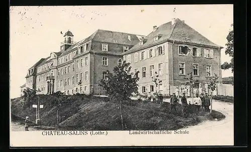 AK Château-Salins, Landwirtschaftliche Schule