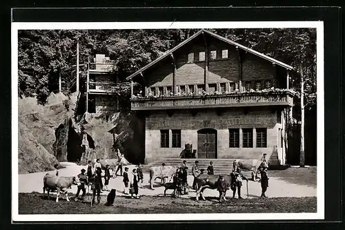 AK Heidenheim, Naturtheater, Spieljahr 1952 Wilhelm Tell