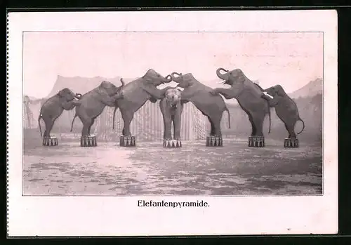 AK Elefantenpyramide im Zirkus Krone