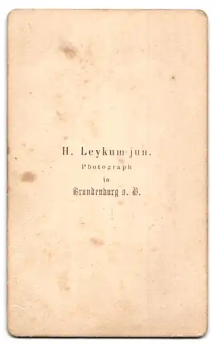 Fotografie H. Leykum jun., Brandenburg, Junger Mann mit Fliege