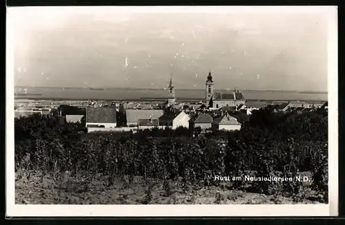 Foto-AK Rust am Neusiedlersee, Totalansicht