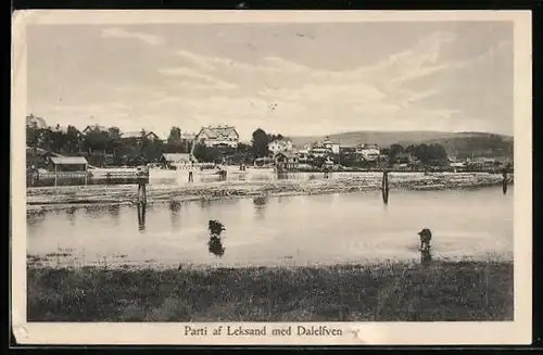 AK Leksand, Panorama med Dalelfven