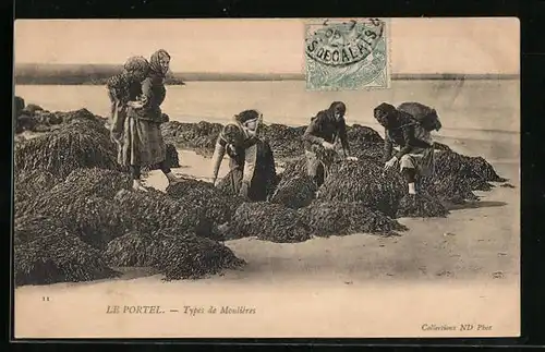 AK Le Portel, Types de Moulières, Krebsfischerinnen bei der Arbeit
