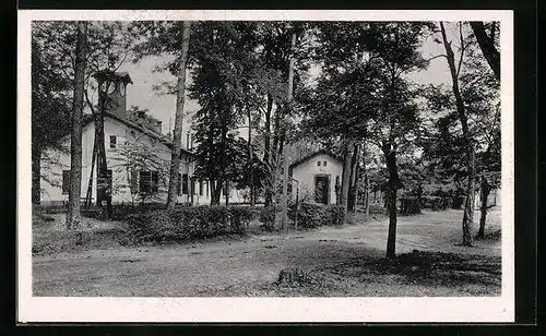 AK Oberhofen, Lager Oberhofen, Birkenallee