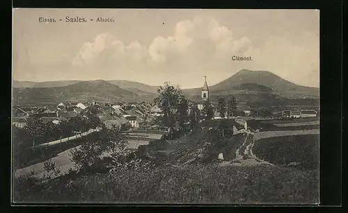 AK Saales, Ortsansicht mit Berg Climont