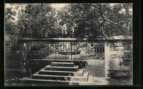 AK Kamenz i. Sa., Lessings Geburtsstätte