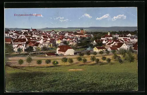 AK Donaueschingen, Teilansicht