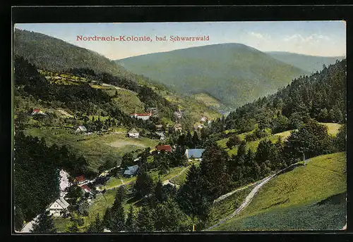 AK Nordrach /Bad. Schwarzwald, Teilansicht