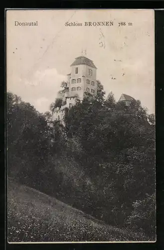 AK Fridingen, Donautal mit Schloss Bronnen