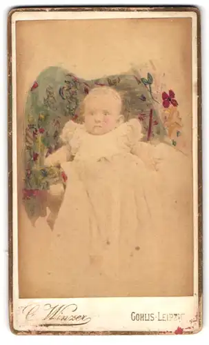 Fotografie C. Winzer, Leipzig-Gohlis, Leipziger Str. 7, Portrait niedliches Baby im Taufkleidchen, gemalte Blumen