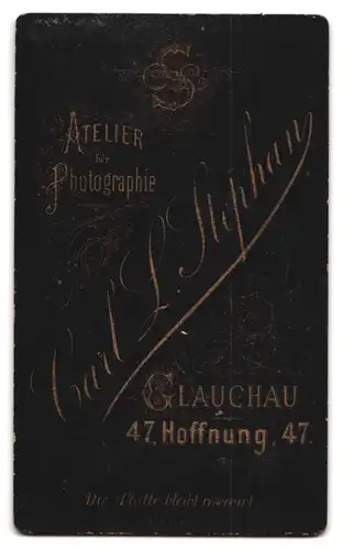 Fotografie Carl L. Stephan, Glauchau, Hoffnung 47, Portrait hübsche junge Frau im prachtvoll gerüschten Kleid