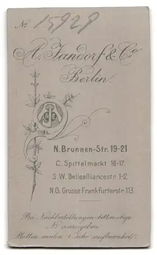 Fotografie A. Jandorf & Co., Berlin, Brunnenstr. 19-21, Portrait hübsche Dame mit Ohrschmuck und Rüschen am Kleid