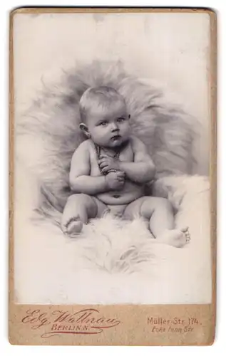 Fotografie Edg. Wallnau, Berlin, Müllerstr. 174, Portrait nacktes Baby mit Perlenhalskette auf einem Fell sitzend