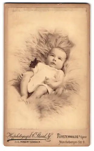 Fotografie C. Steinl Nachf., Fürstenwalde / Spree, Münchenbergerstr. 9, Portrait süsses Baby auf Fell liegend