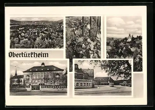 AK Obertürkheim, Gebäudeansichten, Strassenbaum, Beerenstrauch