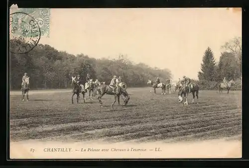 AK Chantilly, la Pelouse avec Chevaux à l'exercice