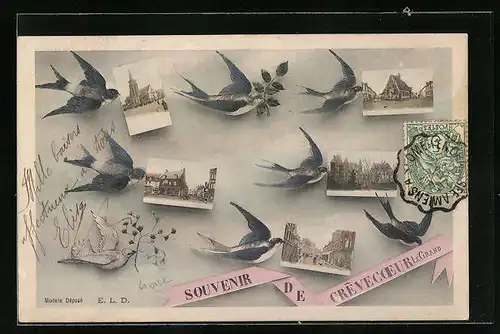 AK Crevecoeur-le-Grand, Gebäude- und Strassenansichten, Vögel