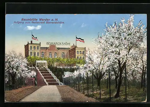 AK Werder / Havel, Restaurant Bismarckhöhe während der Baumblüte