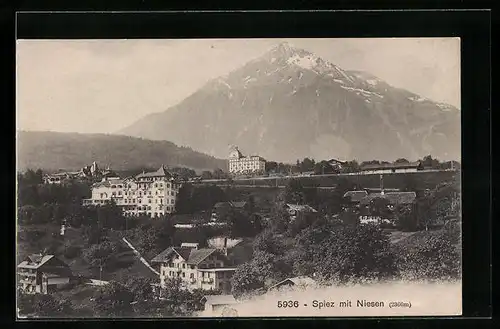 AK Spiez, Hotel mit Blick zum Niesen