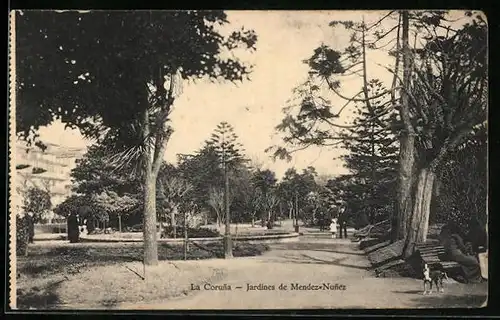 AK La Coruna, Jardines de Mendez-Nunez