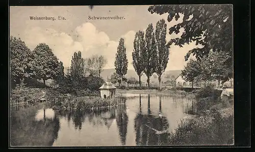 AK Weissenburg i. E., Idylle am Schwanenweiher