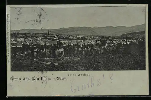AK Müllheim / Baden, Totalansicht