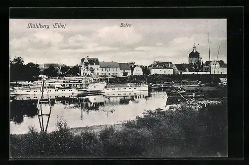 AK Mühlberg an der Elbe, Ausflugsdampfer Sodenbach im hafen