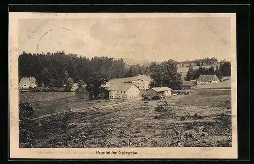 AK Pronfelden-Spiegelau, Blick auf die Siedlung am Wald