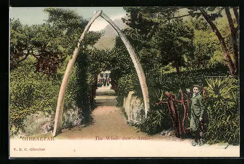 AK Gibraltar, the Whale Jaw`s Arch