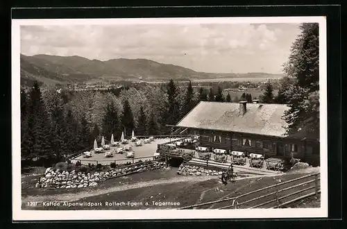AK Rottach-Egern / Tegernsee, Café im Alpenwildpark