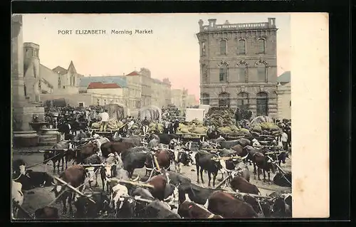 AK Port Elizabeth, Morning Market