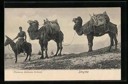 AK Smyrne, Chameaux Pehlavans