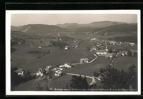 AK Hinterzarten / Schwarzwald, Panorama