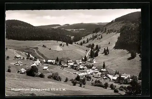 AK Muggenbrunn / Schwarzwald, Gesamtansicht