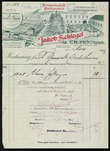 Rechnung Laufen a. Eyach 1907, Forstbaumschule - Forstsamenhandlung Jakob Schlegel, Blick auf die Forstschule